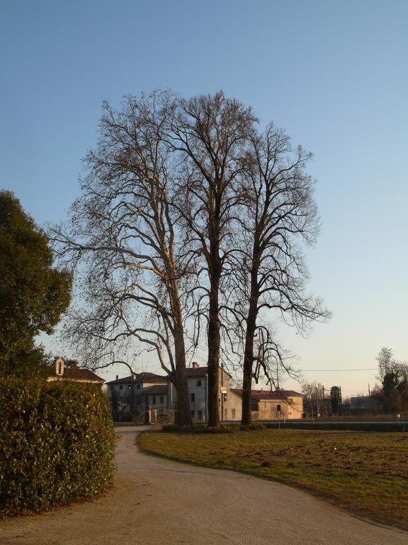 B&B Giardino Jappelli Rosa Exterior photo